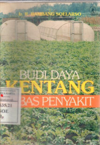 Budi daya kentang bebas penyakit