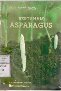 Bertanam Asparagus : P. Suhardiman