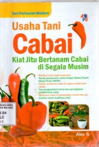 Usaha tani cabai: kiat jitu bertanam cabai di segala musim