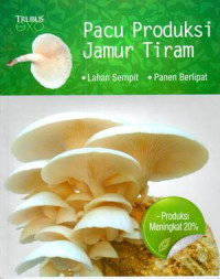 Pacu Produksi Jamur Tiram ( lahan sempit, panen berlipat )