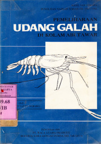 Pemeliharaan Udang Galah di kolam air tawar : Sigit Sapto Wibowo