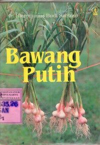 Bawang Putih : Hieronymus Budi Santoso