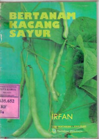 Bertanam kacang sayur : Irfan