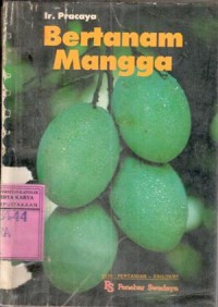 Bertanam Mangga : Pracaya