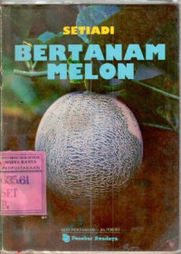 Bertanam Melon : Setiadi