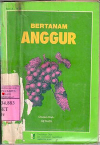 Bertanam Anggur : Setiadi