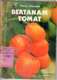 Bertanam Tomat : Herry Tugiyono